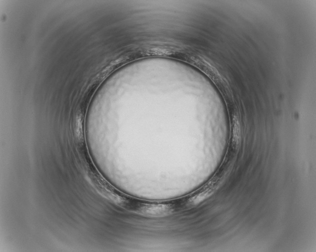 X0000086100459200704202245