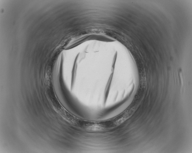 X0000086100460200704202245