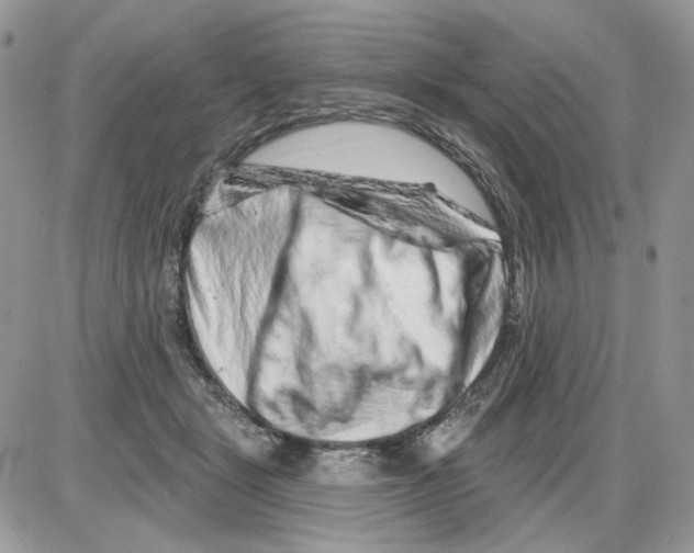 X0000086100461200704202245