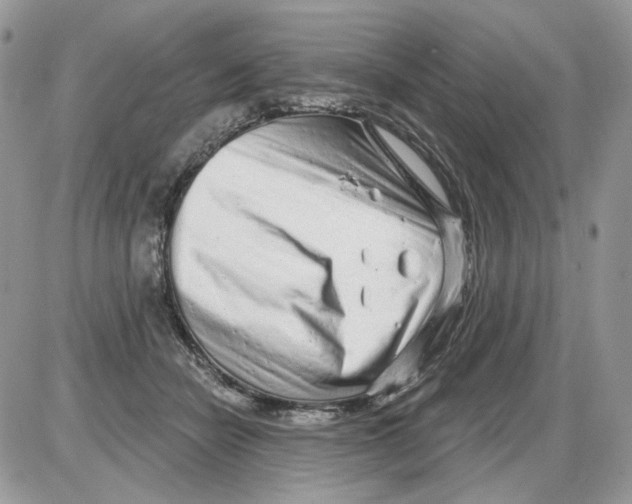 X0000086100462200704202245