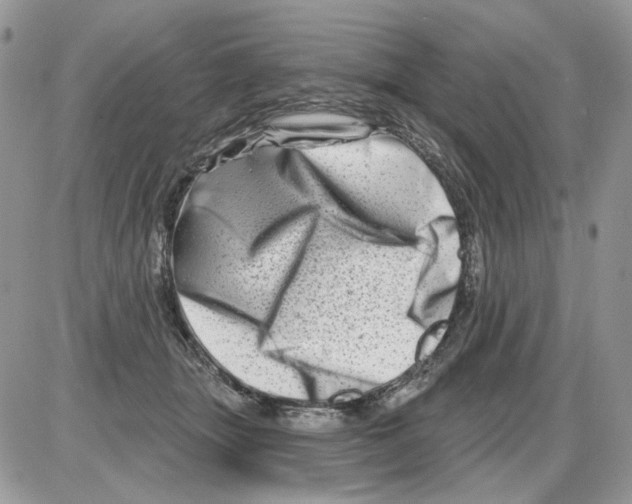 X0000086100463200704202245