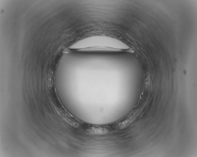 X0000086100464200704202245