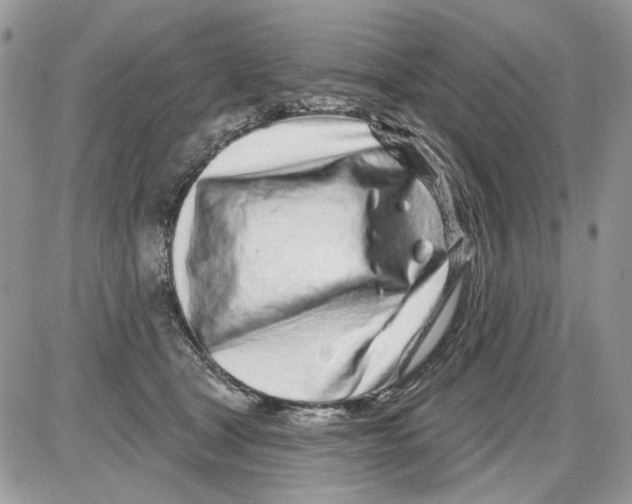 X0000086100465200704202245