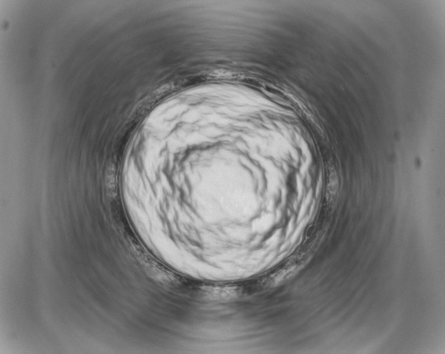 X0000086100469200704202245