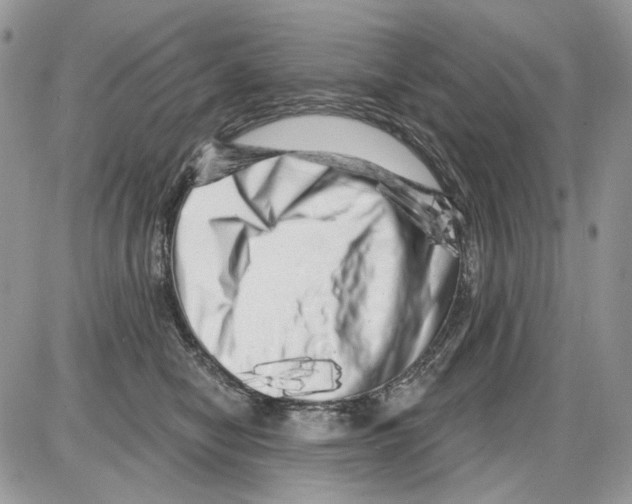 X0000086100470200704202245