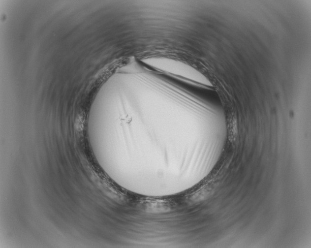 X0000086100472200704202245