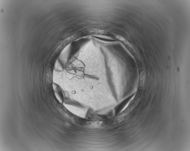 X0000086100474200704202245