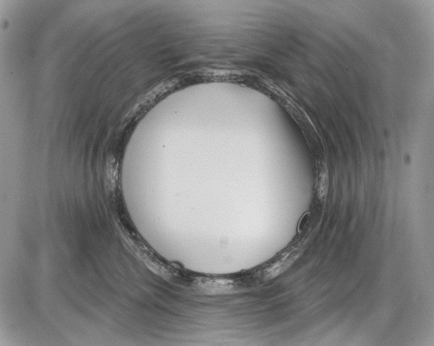 X0000086100476200704202245