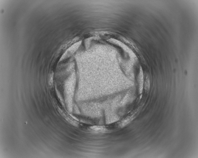 X0000086100477200704202245