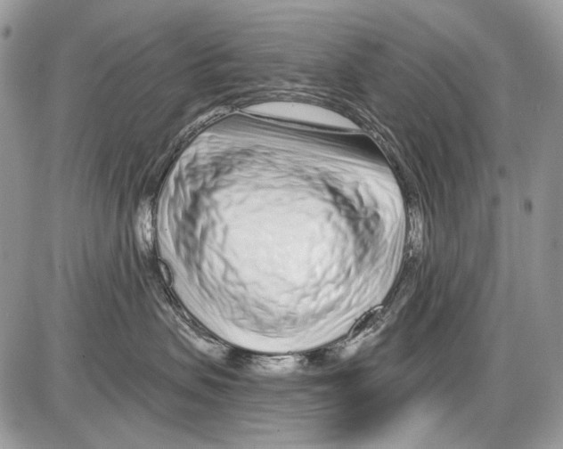 X0000086100479200704202245
