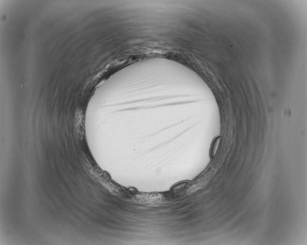 X0000086100480200704202245