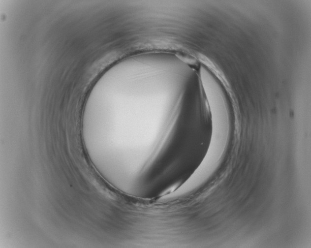 X0000086100481200704202245