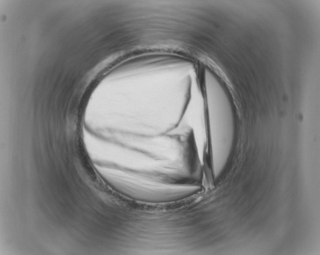 X0000086100483200704202245