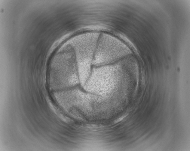 X0000086100486200704202245
