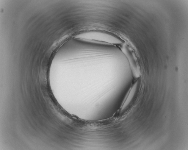 X0000086100489200704202245