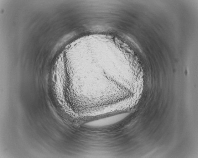 X0000086100491200704202244