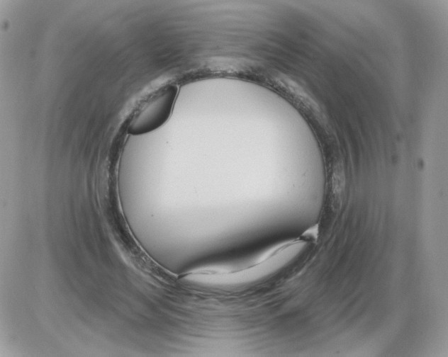 X0000086100492200704202244