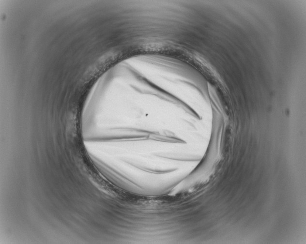 X0000086100497200704202244