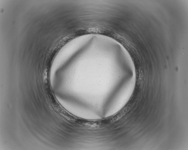X0000086100502200704202244