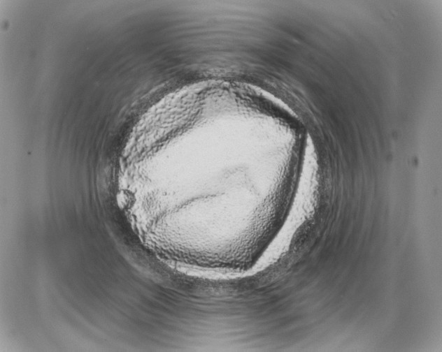 X0000086100503200704202244