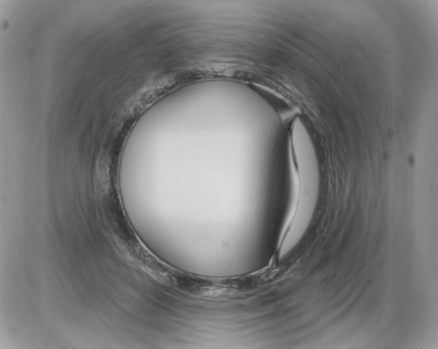 X0000086100504200704202244