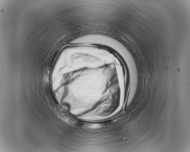 X0000086100507200704202244