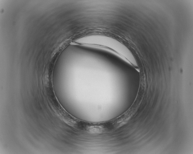 X0000086100508200704202244