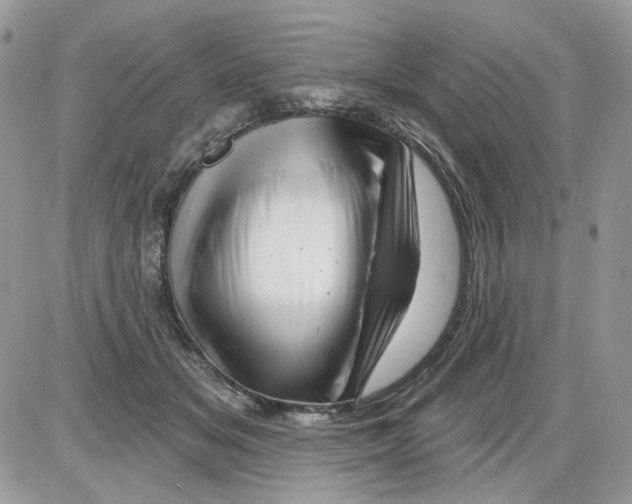 X0000086100509200704202244