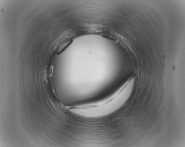 X0000086100512200704202244