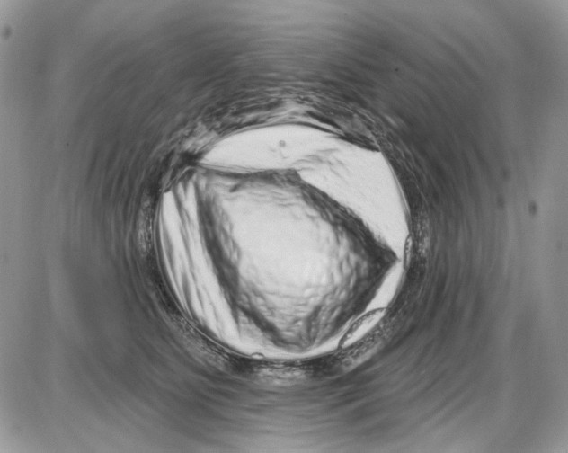 X0000086100515200704202244