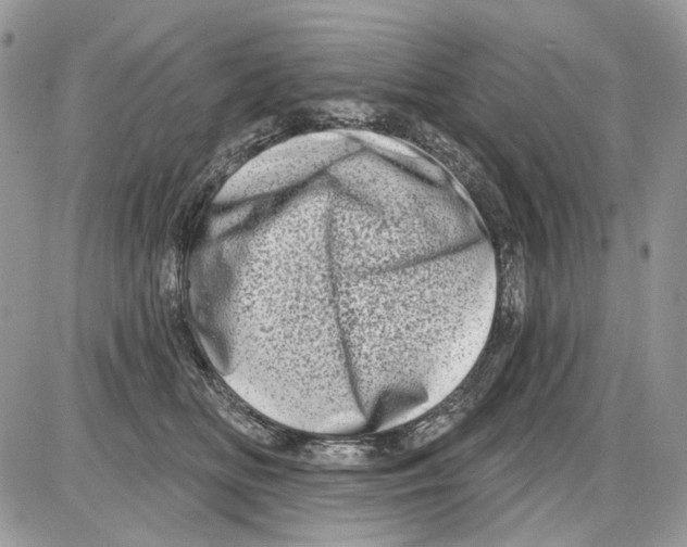X0000086100518200704202244