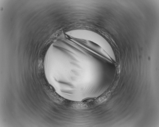 X0000086100521200704202244