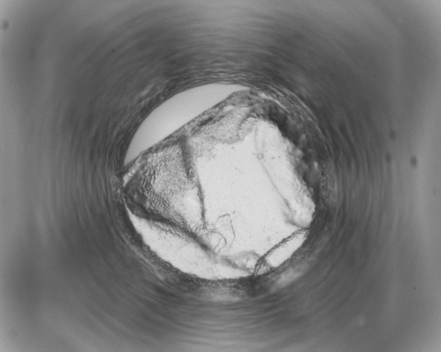 X0000086100523200704202244