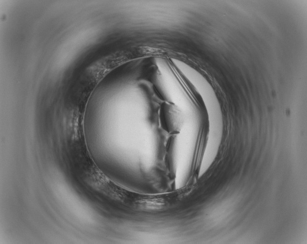 X0000086100525200704202244