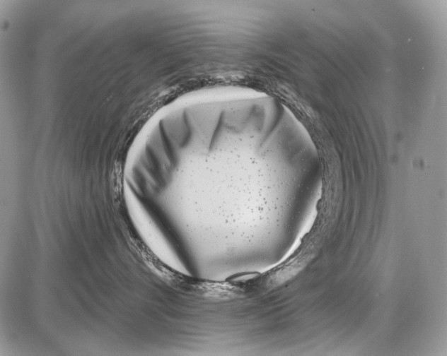 X0000086100528200704202244