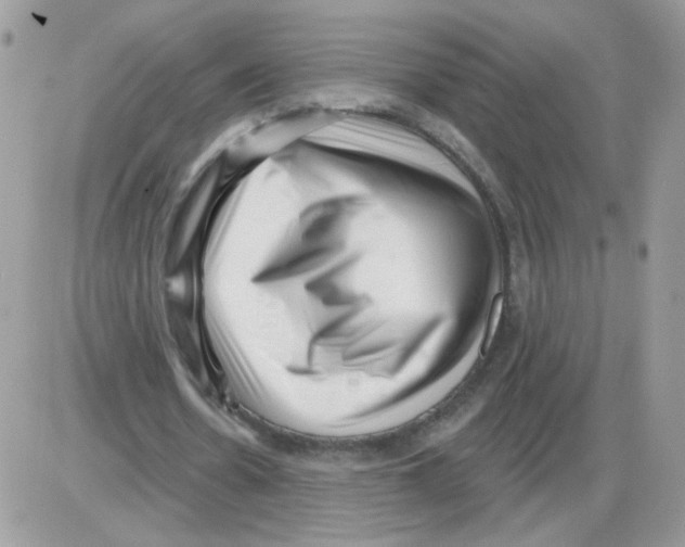 X0000086100530200704202243