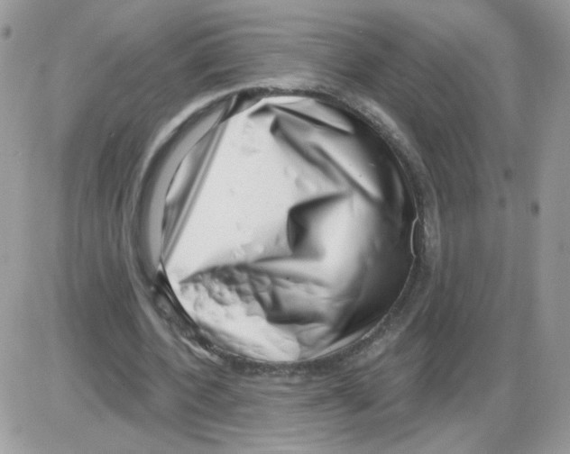 X0000086100532200704202243
