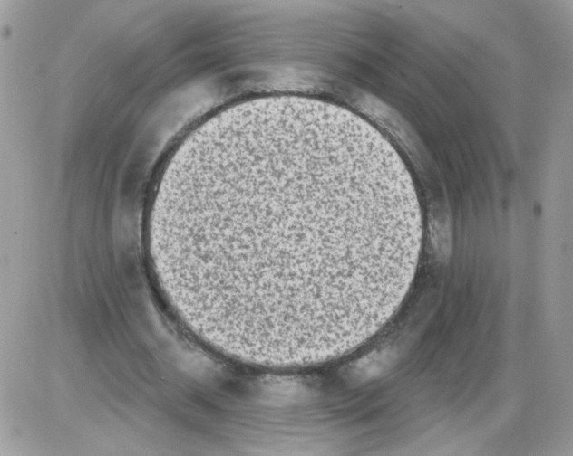 X0000086100534200704202243