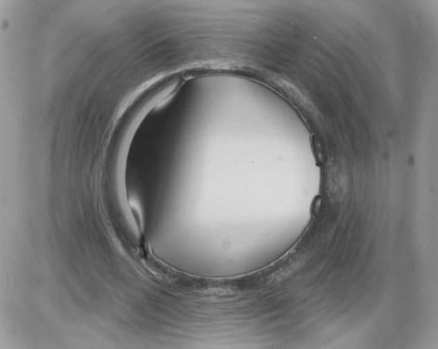 X0000086100536200704202243
