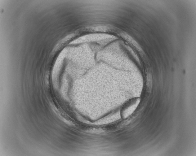 X0000086100537200704202243