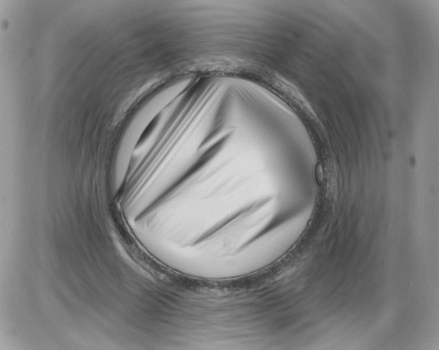 X0000086100538200704202243