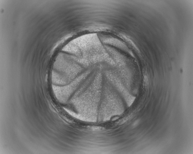 X0000086100539200704202243