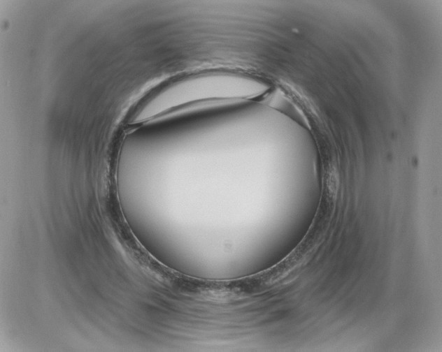 X0000086100540200704202243