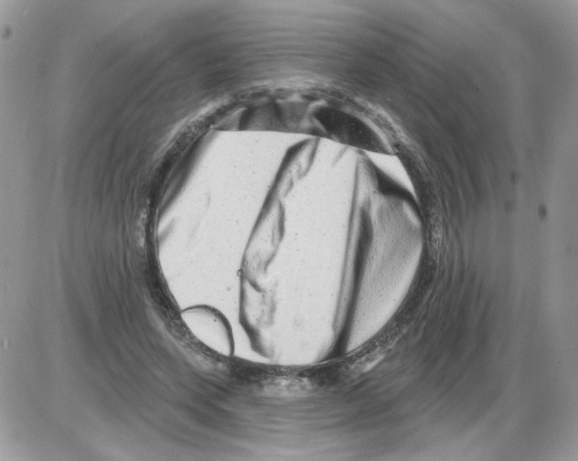 X0000086100543200704202243