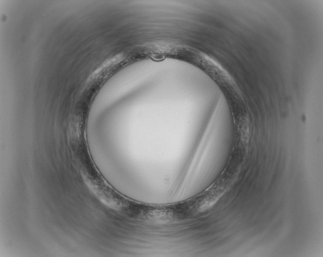X0000086100546200704202243