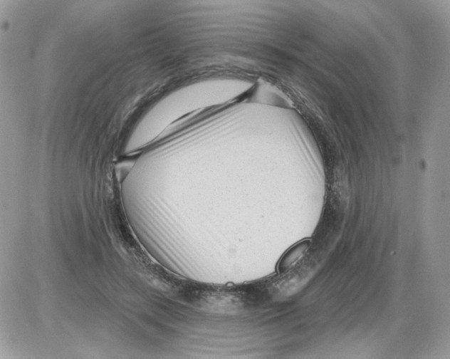 X0000086100547200704202243
