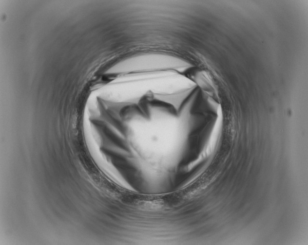 X0000086100548200704202243