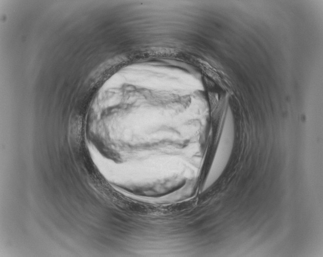 X0000086100550200704202243