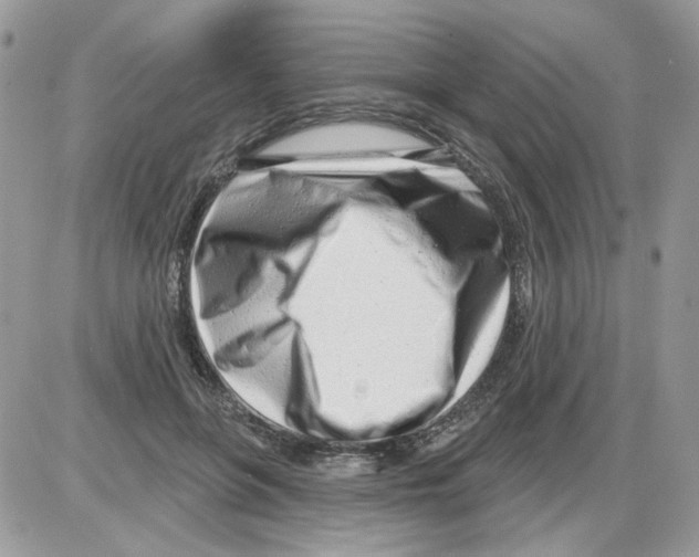 X0000086100551200704202243