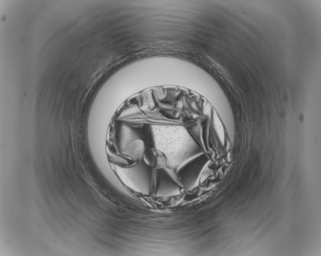 X0000086100552200704202243
